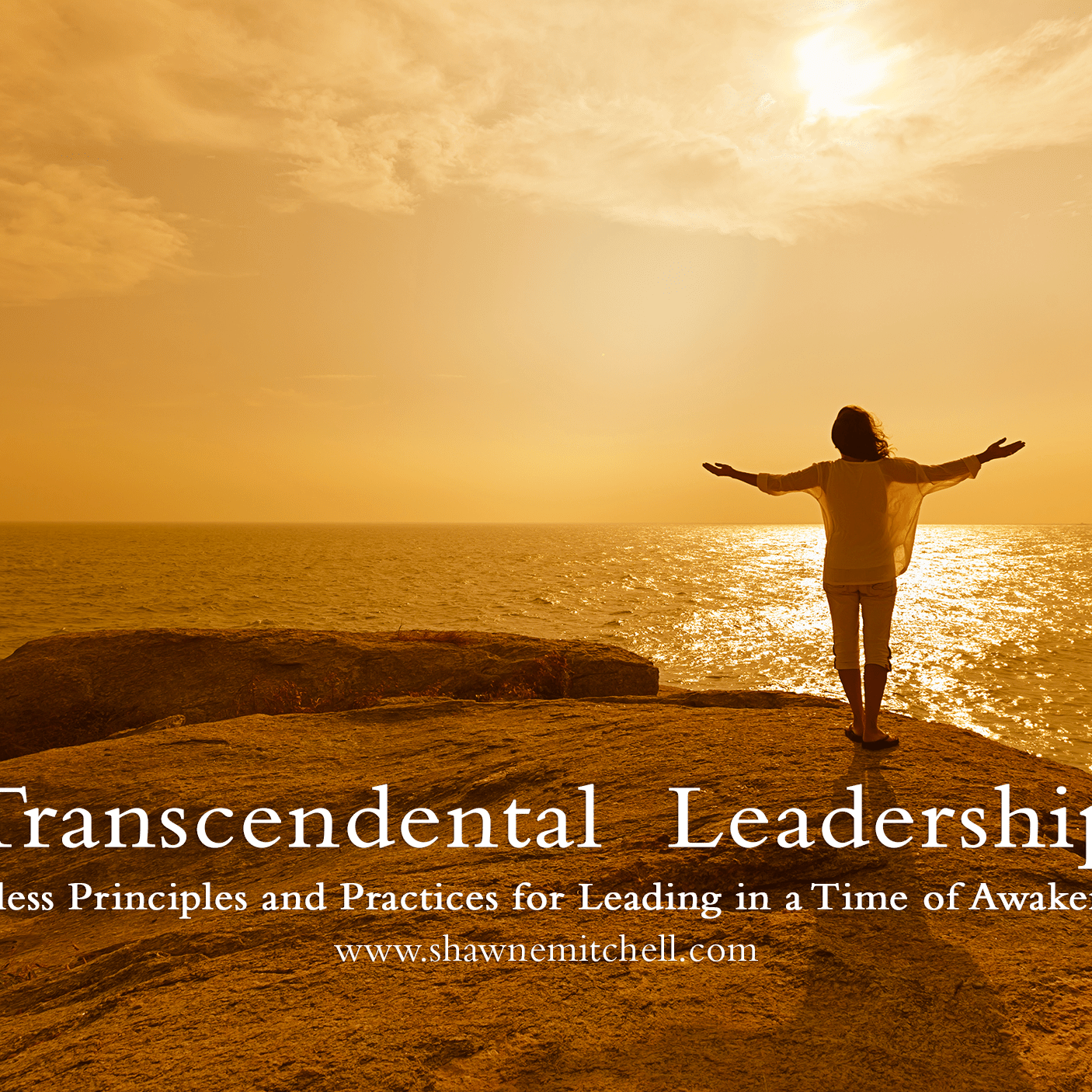 Transcendental Leadership by Shawne Mitchell